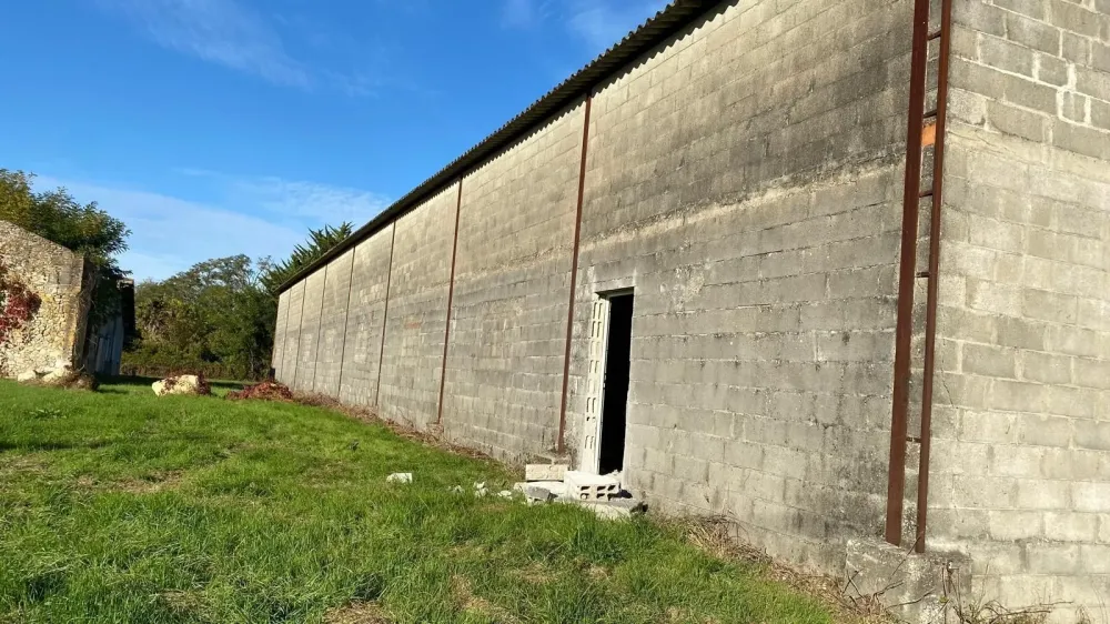 Nettoyage de façade